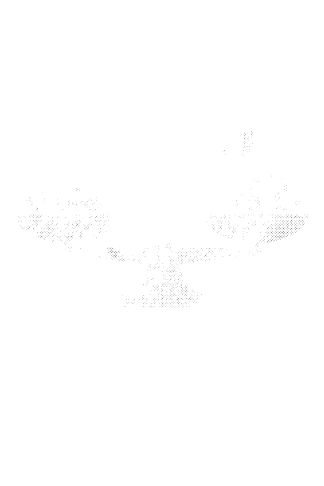 I 'm on Balanced diet Funny -Mens tee