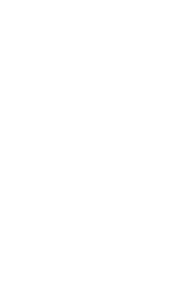 Amey -Fly Emirates