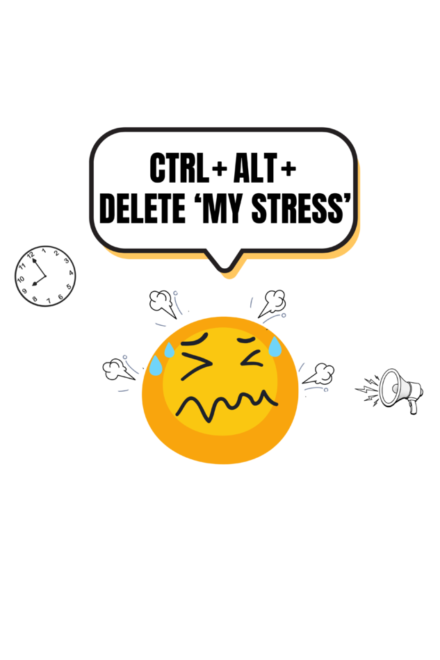 CTRL + ALT + DELETE my stress -Work place humour  ladies  T shirt